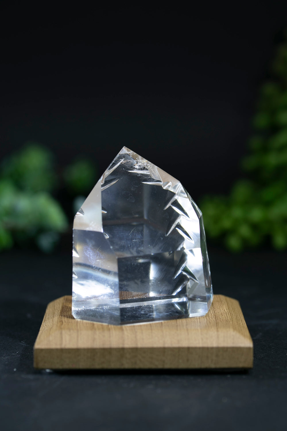 Fantasy Cut Lemurian