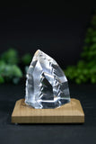 Fantasy Cut Lemurian