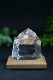 Fantasy Cut Lemurian