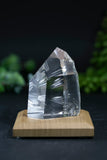 Fantasy Cut Lemurian