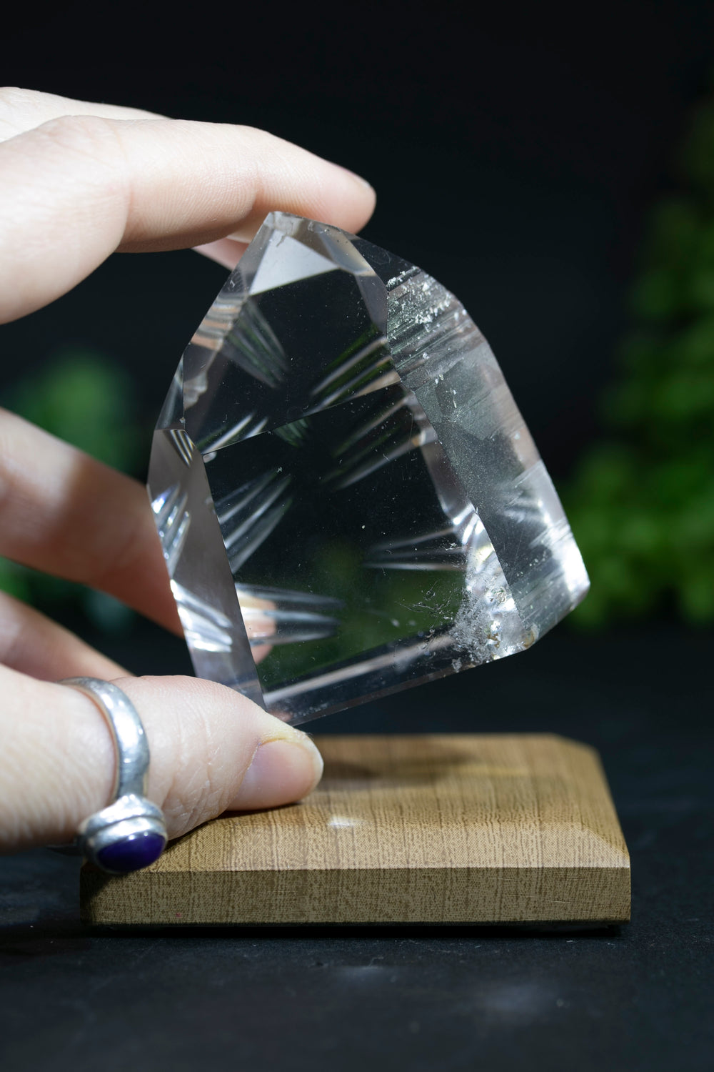 Fantasy Cut Lemurian