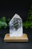 Fantasy Cut Lemurian