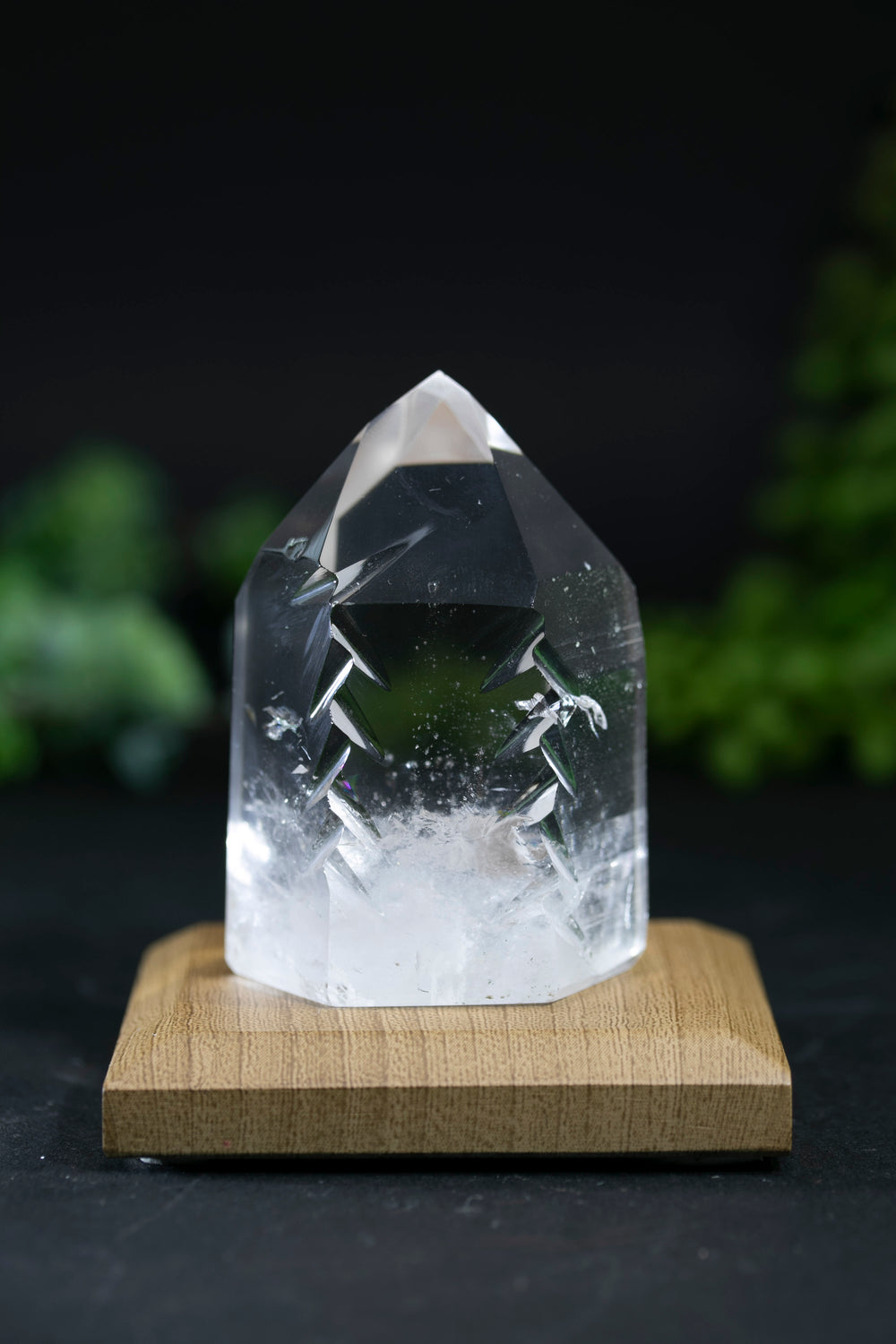 Fantasy Cut Lemurian