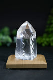 Fantasy Cut Lemurian
