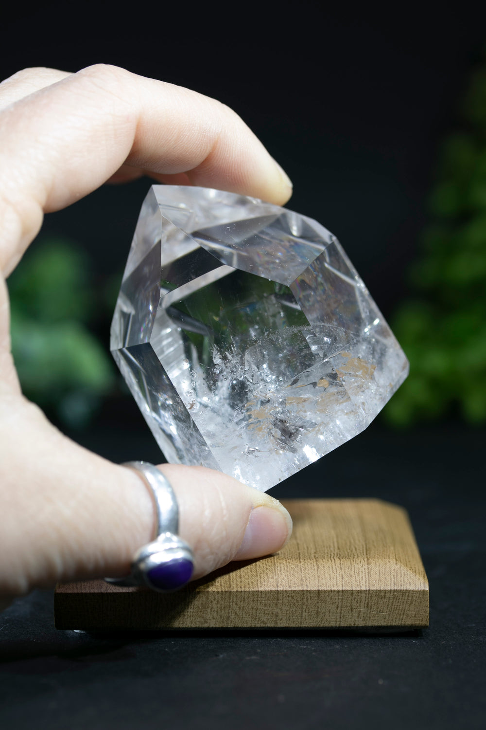 Fantasy Cut Lemurian