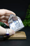 Fantasy Cut Lemurian