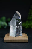 Fantasy Cut Lemurian