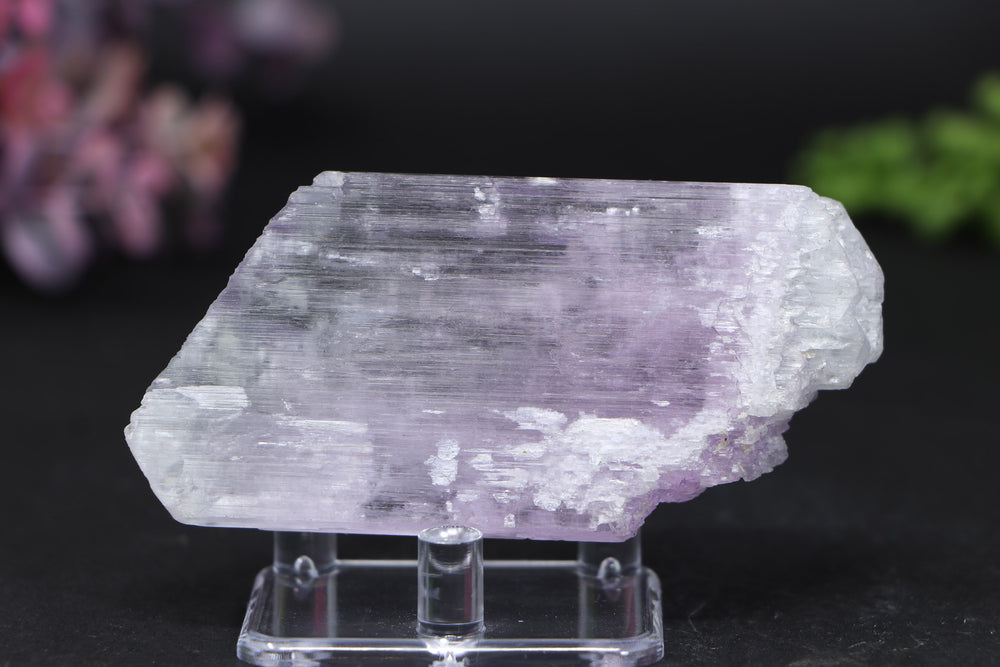 Kunzite Specimen DD1582