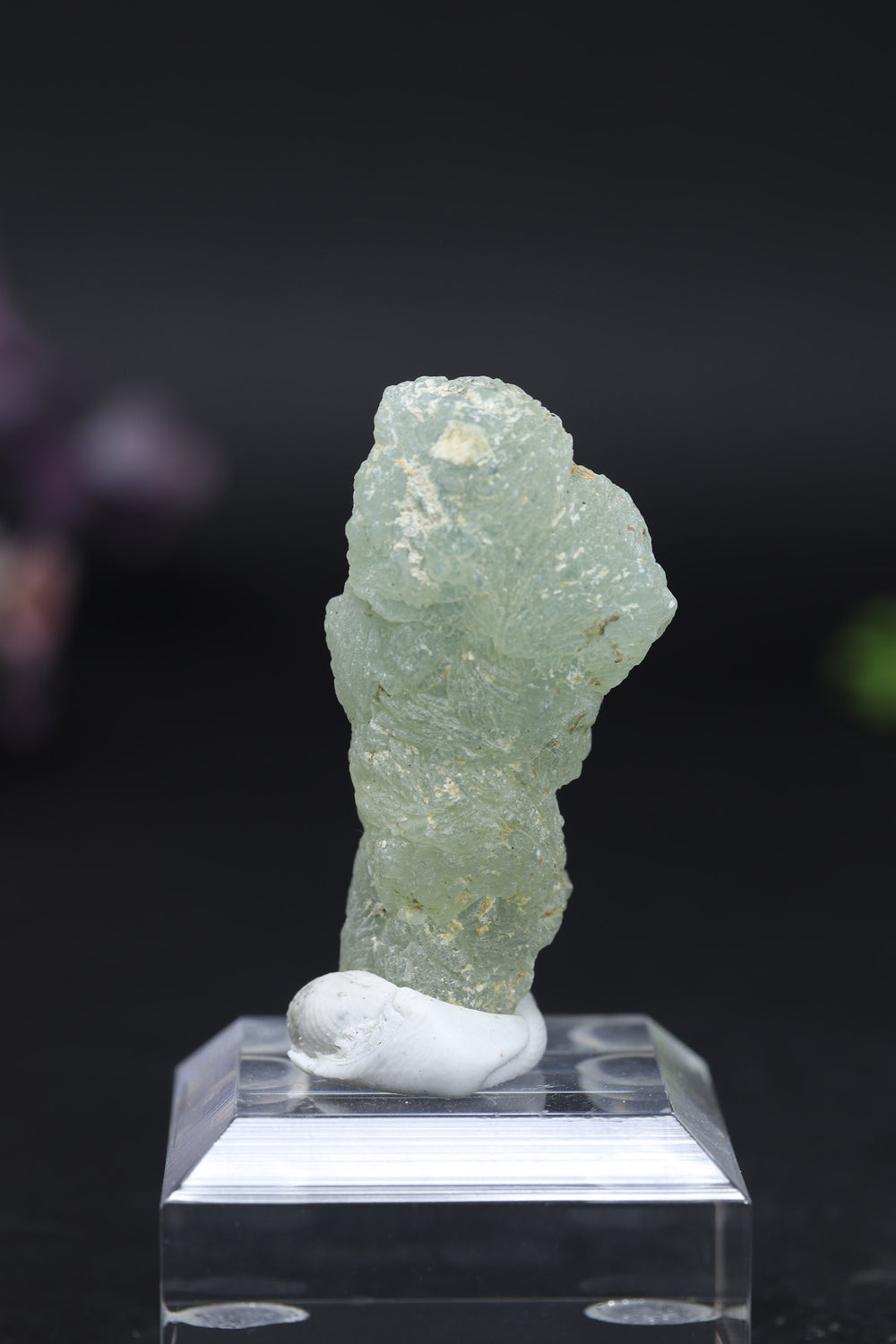 Prehnite on Epidote Stalactite DA968
