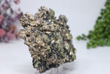 Pyrite and Calcite on Galena from 9th of September Mine DC460
