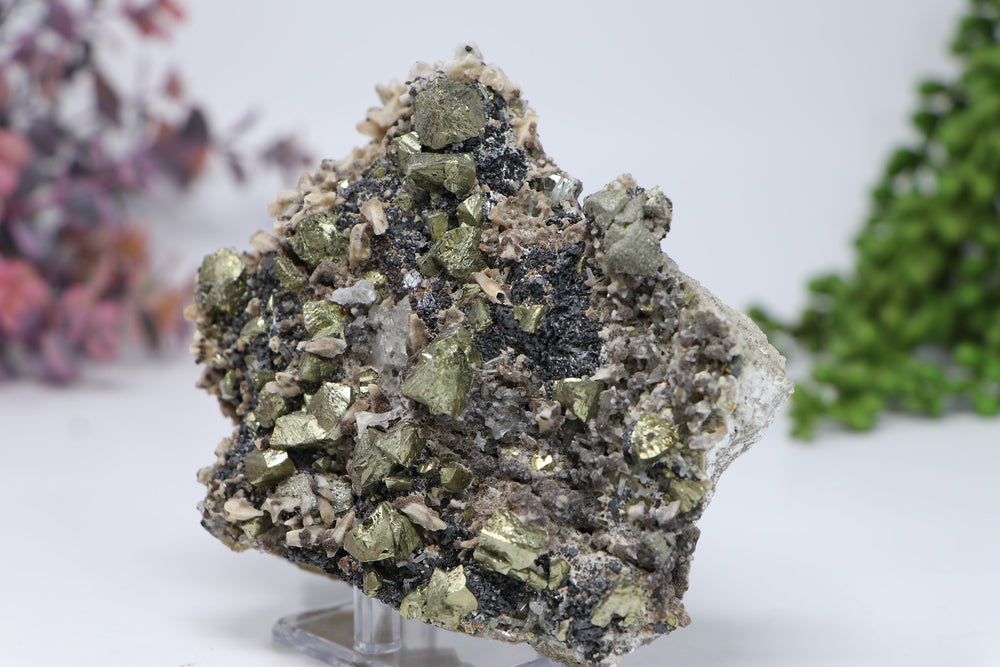 Pyrite and Calcite on Galena from 9th of September Mine DC460