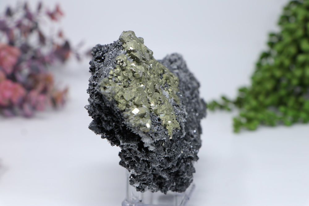 Pyrite on Galena from 9th of September Mine DC459