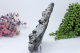 Pyrite and quartz on Sphalerite from 9th of September Mine DC462