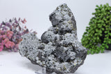 Pyrite and quartz on Sphalerite from 9th of September Mine DC462
