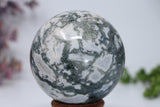 82mm Moss Agate Sphere DD3370