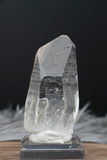 3.5" Lemurian Seed Crystal