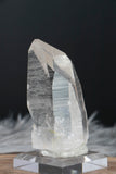 3.5" Lemurian Seed Crystal