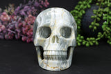 5" Argentinian Onyx Skull DD3429