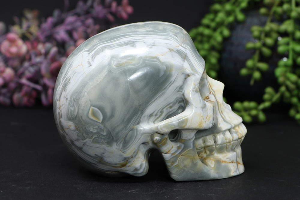 5" Argentinian Onyx Skull DD3429
