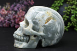 5" Argentinian Onyx Skull DD3429