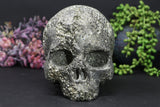 6" Pyrite Skull Carving DD3552