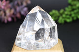 2" Fantasy Cut Lemurian TV223