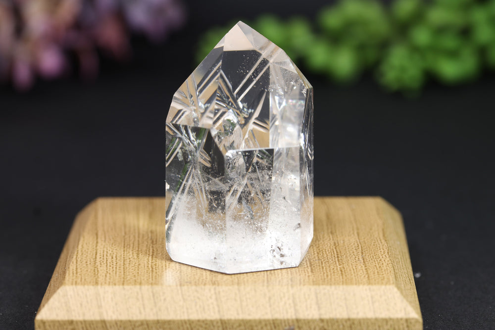 1.5" Fantasy Cut Lemurian TV281