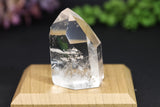 1.5" Fantasy Cut Lemurian TV281