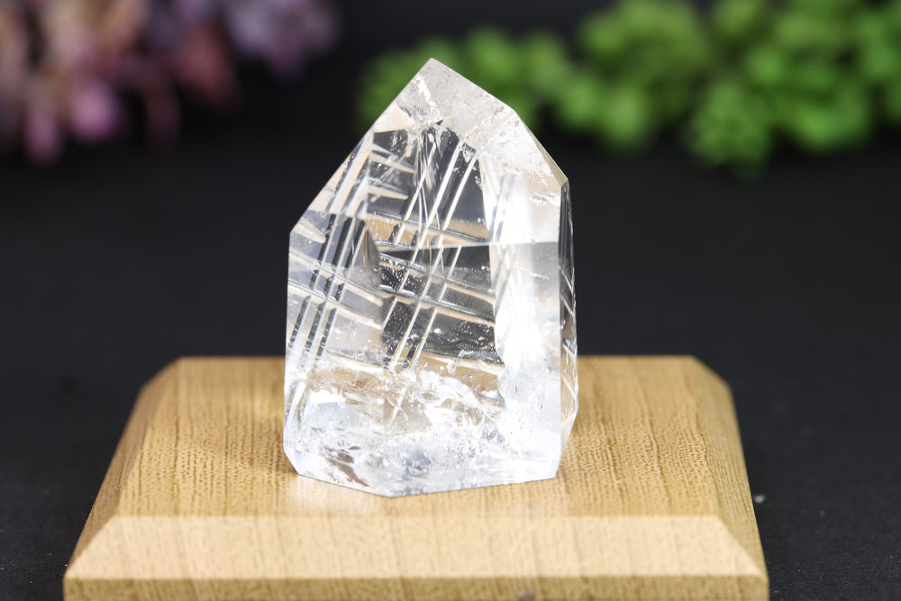 1.5" Fantasy Cut Lemurian TV309