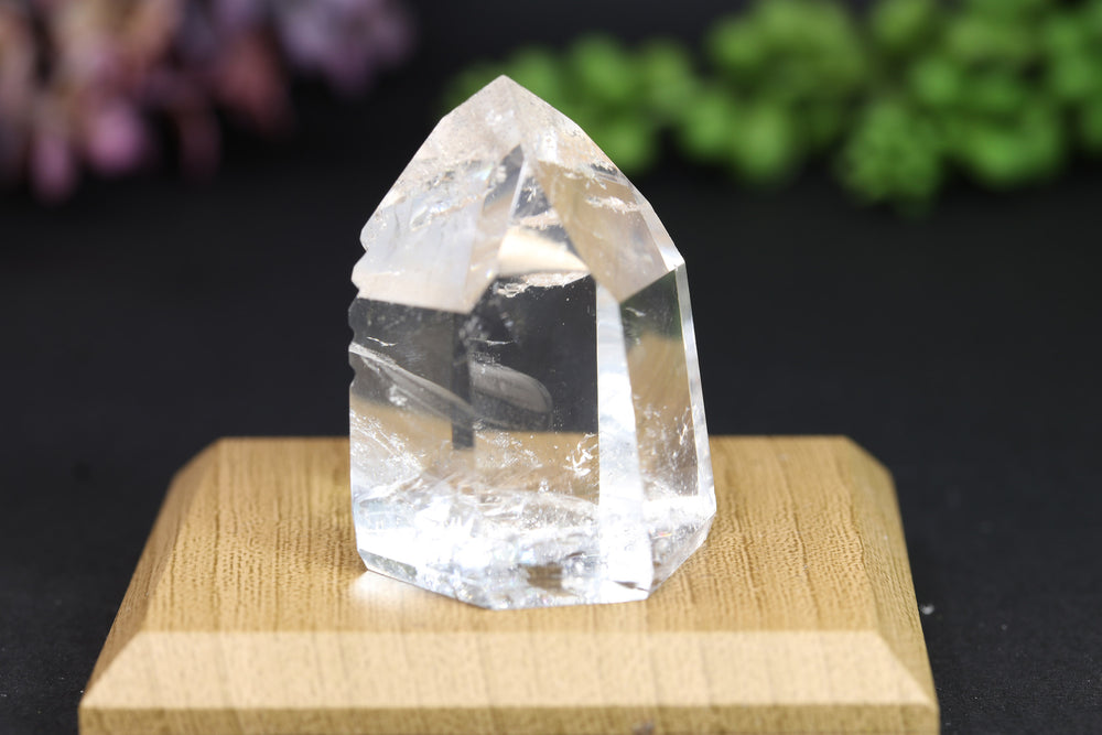 1.5" Fantasy Cut Lemurian TV309