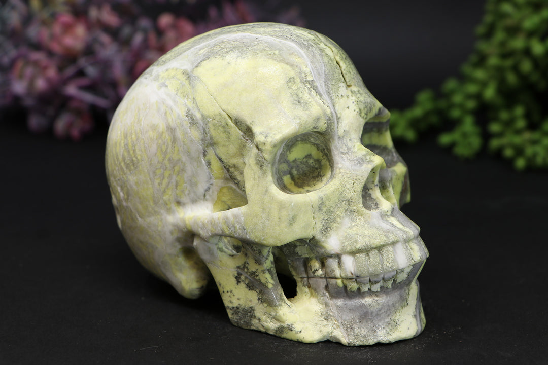 5" Serpentine Skull Carving TU307