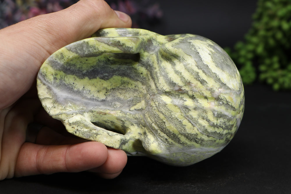 5" Serpentine Skull Carving TU307