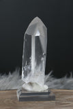 4.25" Lemurian Seed Crystal