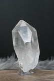 3.5" Lemurian Seed Crystal