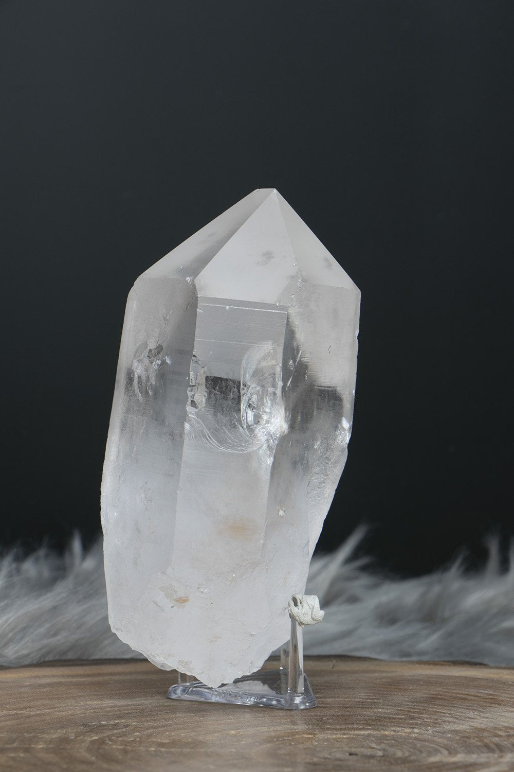 4.5" Lemurian Seed Crystal