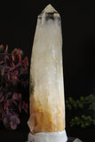 6" Blue Smoke Lemurian TC1115