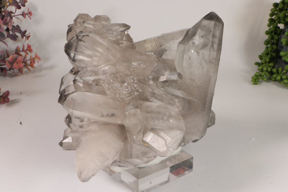 Black Phantom Lemurian Cluster TC1434