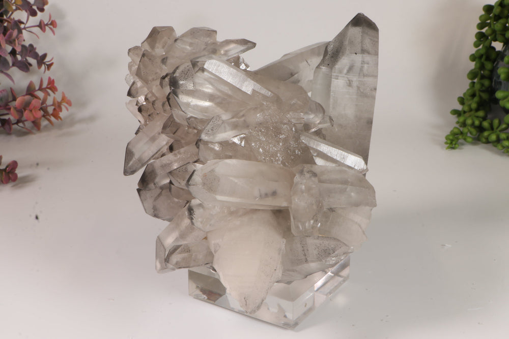 Black Phantom Lemurian Cluster TC1434