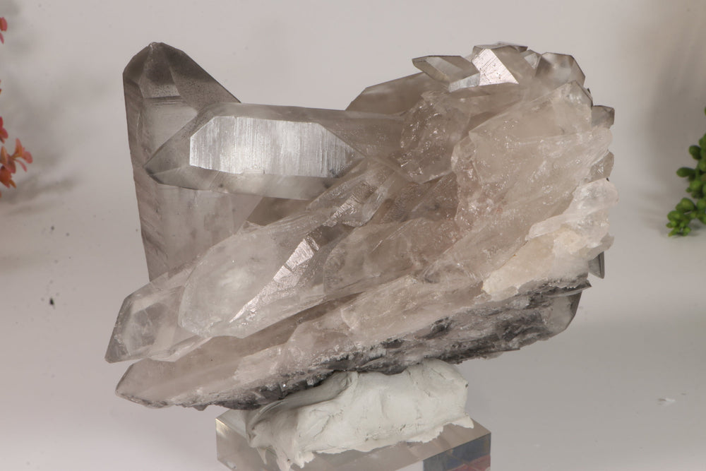 Black Phantom Lemurian Cluster TC1434