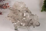 Black Phantom Lemurian Cluster TC1439