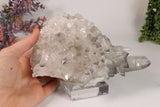 Black Phantom Lemurian Cluster TC1439