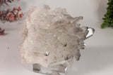 Black Phantom Lemurian Cluster TC1439