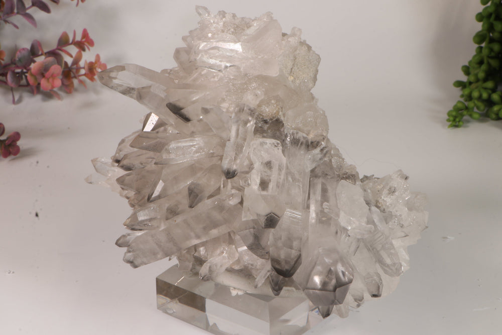 Black Phantom Lemurian Cluster TC1439