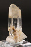 3" Colombian Lemurian TC246