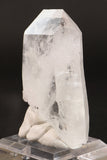 3.5" Colombian Lemurian TC252