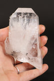 3.5" Colombian Lemurian TC252