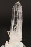 4" Colombian Lemurian  TC253