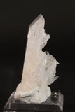 3.5" Colombian Lemurian TC255