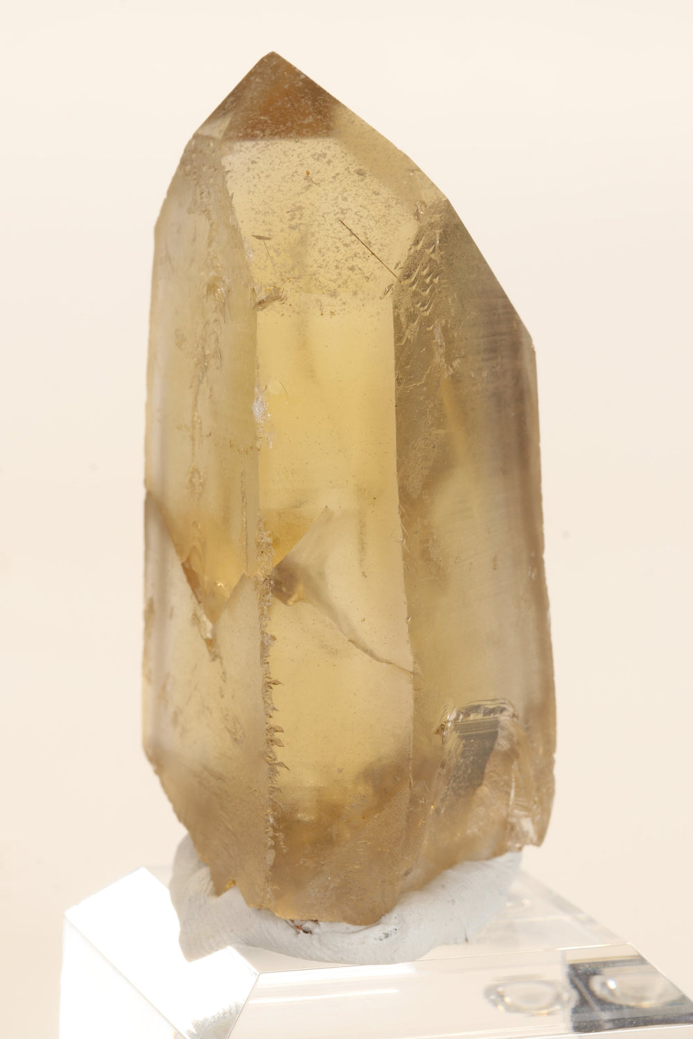 2.5" Natural Citrine Point TC2639