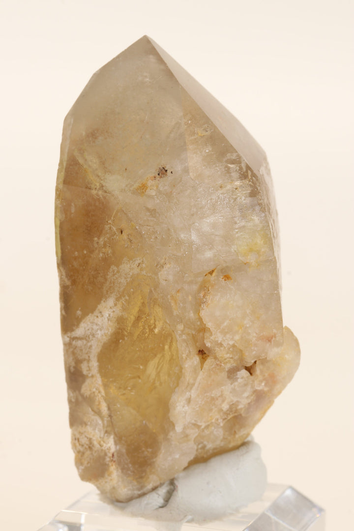 3" Natural Citrine Point TC2651